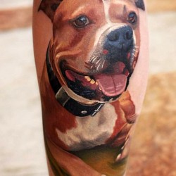 staffy dog tattoo by korky