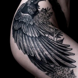crow on hips