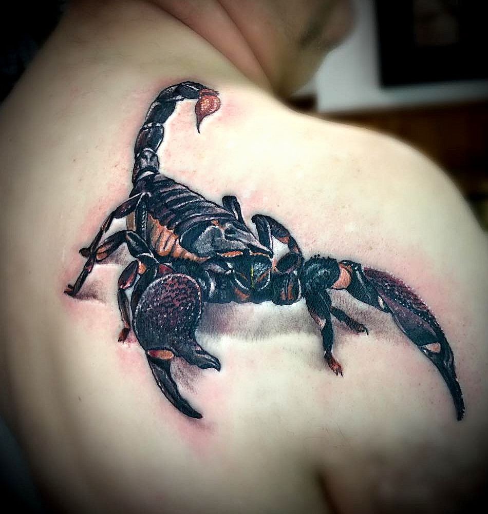 best scorpion tattoo designs meanings