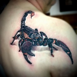 best scorpion tattoo designs meanings