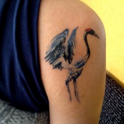 red headed crane japanese watercolor traditional t