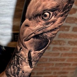 eagle head