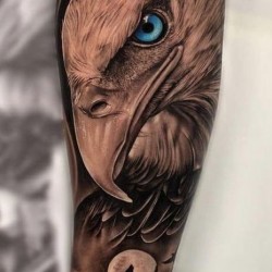 eagle head