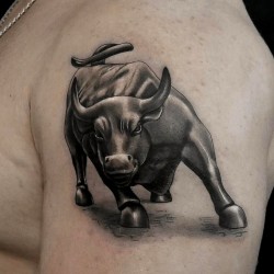bull1687600755