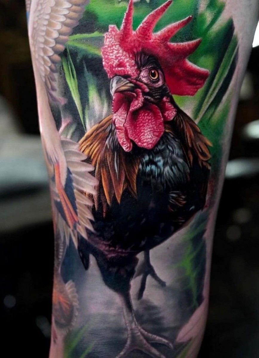cock