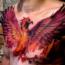 phoenix chest tattoo