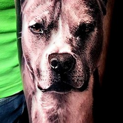cute dog tattoo ideas for men who loves dogs