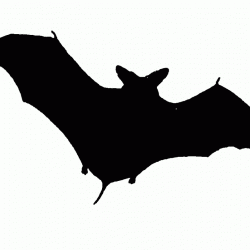 bat tattoo design example