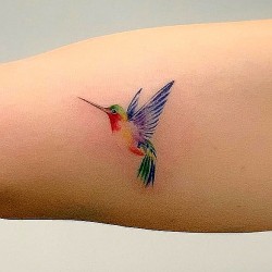 40 small hummingbird tattoo ideas