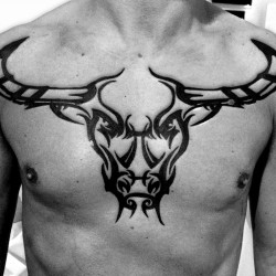 bull skull tattoos design