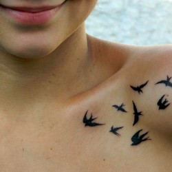 tatuagens de andorinhas significado e fotos