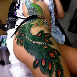 peacock hip tattoo