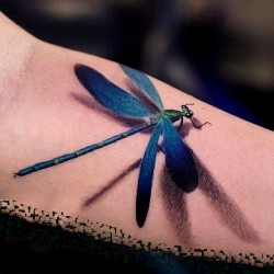 dragonfly tattoo by niko zed done