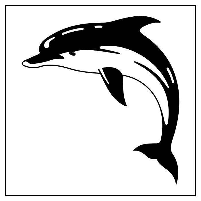 drawing of a dolphin for a tattoo