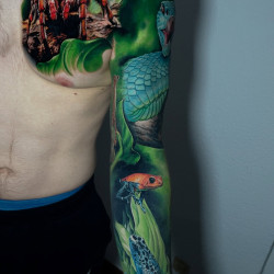 spider snake and frogs - tattoo on shoulder