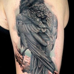 tattooed crows on shoulder