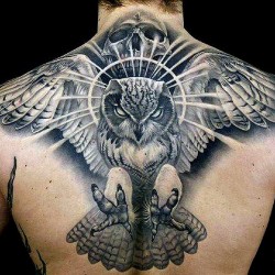 owl tattoo designs for every personality tats