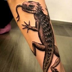 amazing lizard tattoo designs you must see