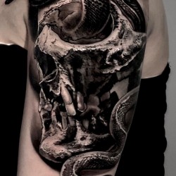 snake in the skull tattoo on the arm