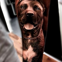 dog portrait tattoo dog memorial tattoos dog tat