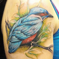 kingfisher bird tattoo