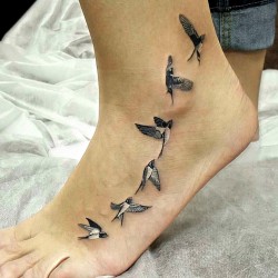 birds on foot