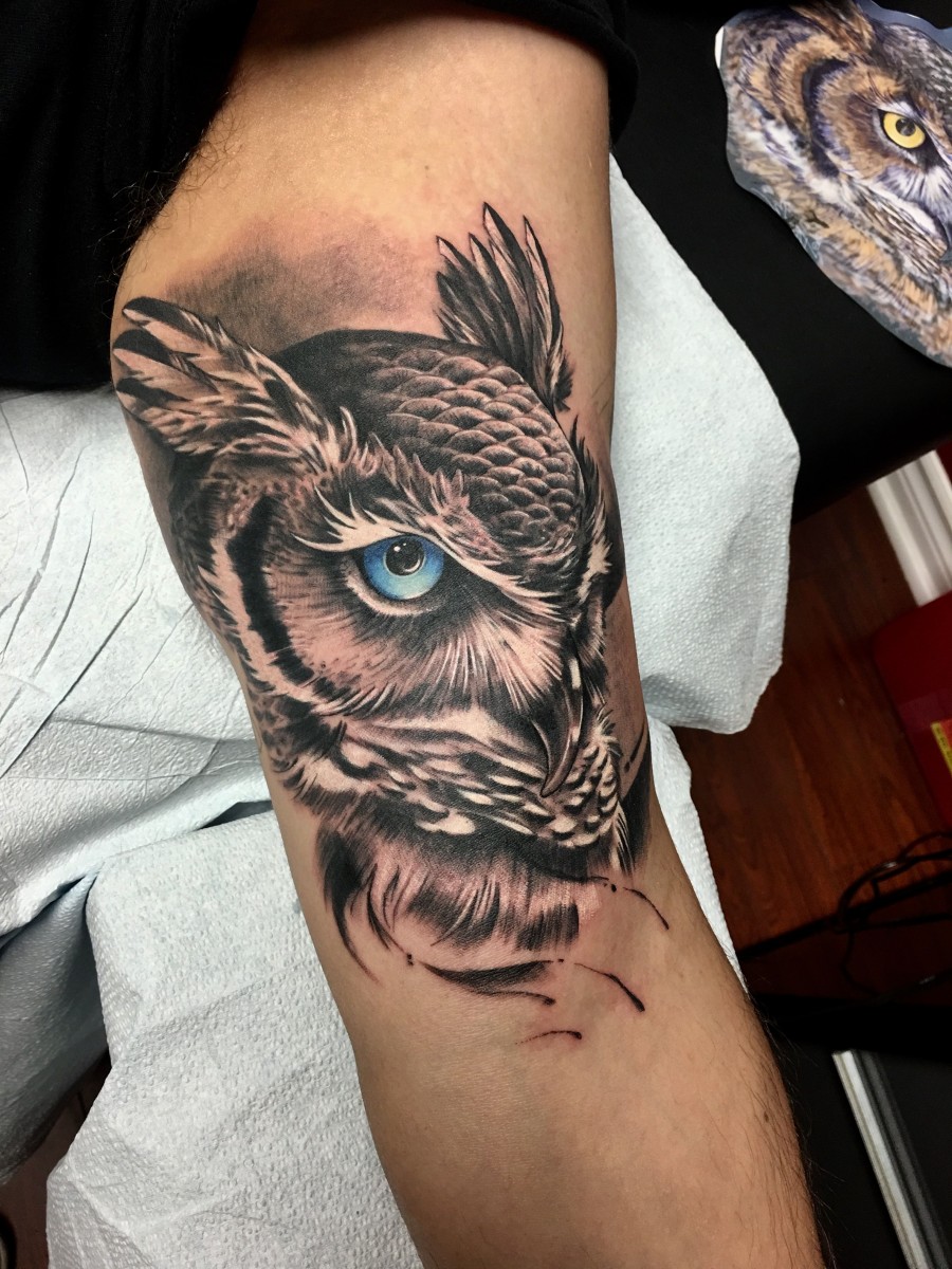 owl tattoo owl sketch toronto tattoo owl art great
