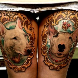 the 12 coolest english bull terrier tattoo designs