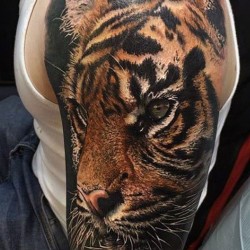 Photo realistic sleeve Tiger face tattoo