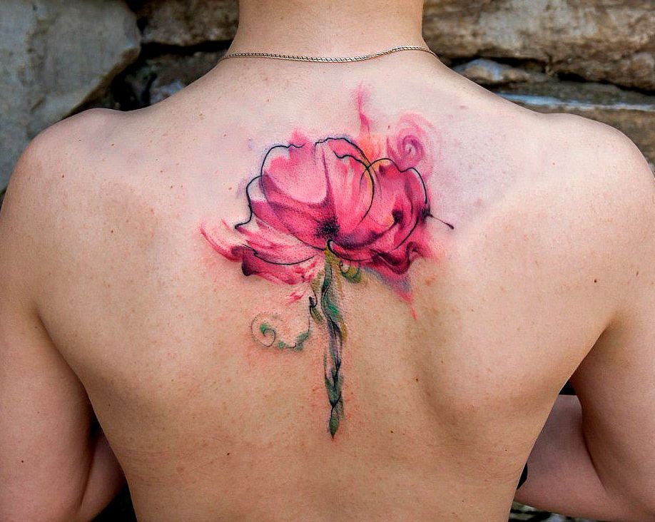peonie flower on back