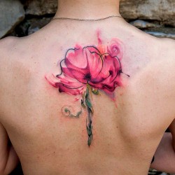 peonie flower on back
