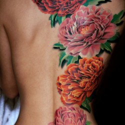 Peonie flowers, Antonio Proietti Flower