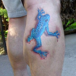 blue frog on calf