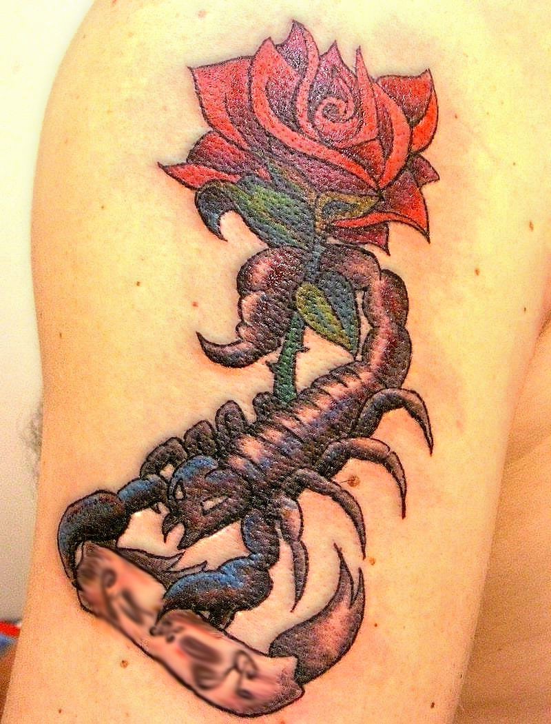 scorpio tattoo ideas best designs rose