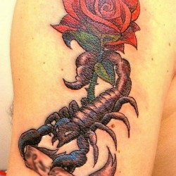 scorpio tattoo ideas best designs rose