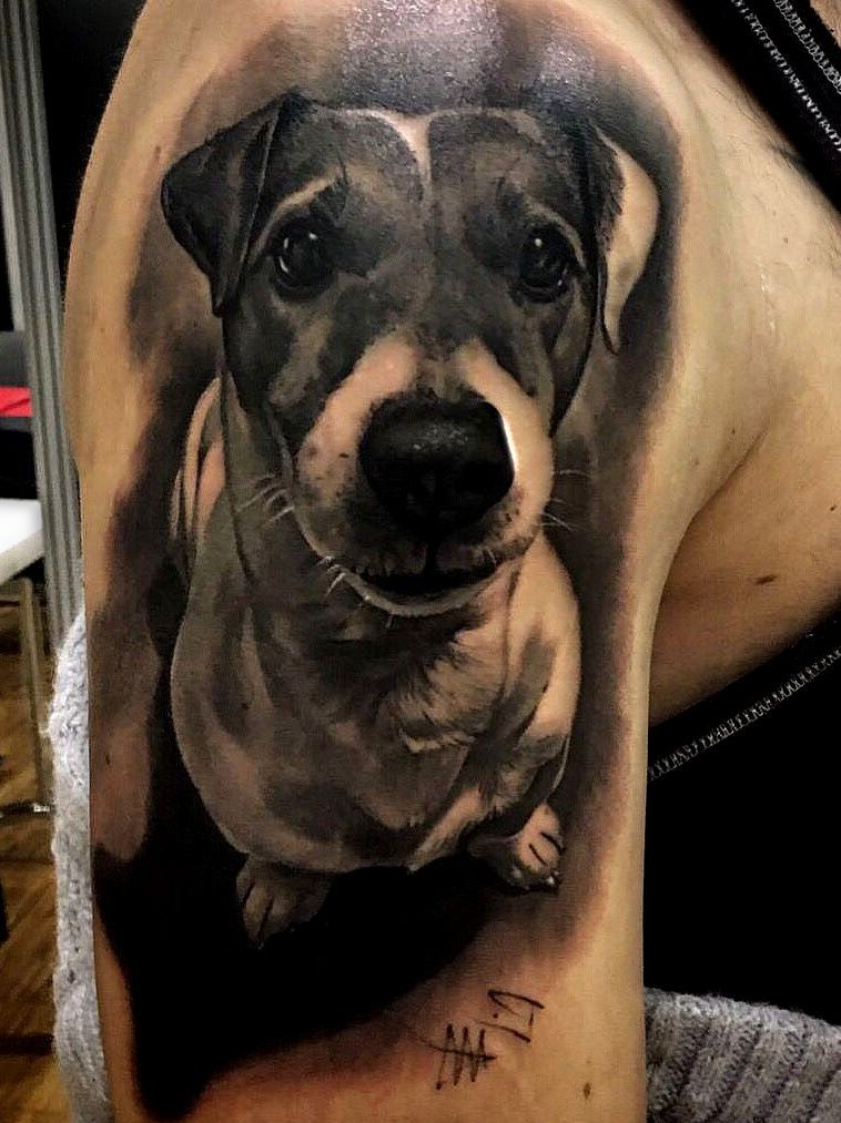 jack russell tattoo