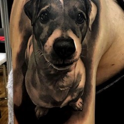jack russell tattoo