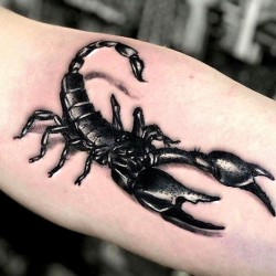 photos of works by pro tattoo artists
