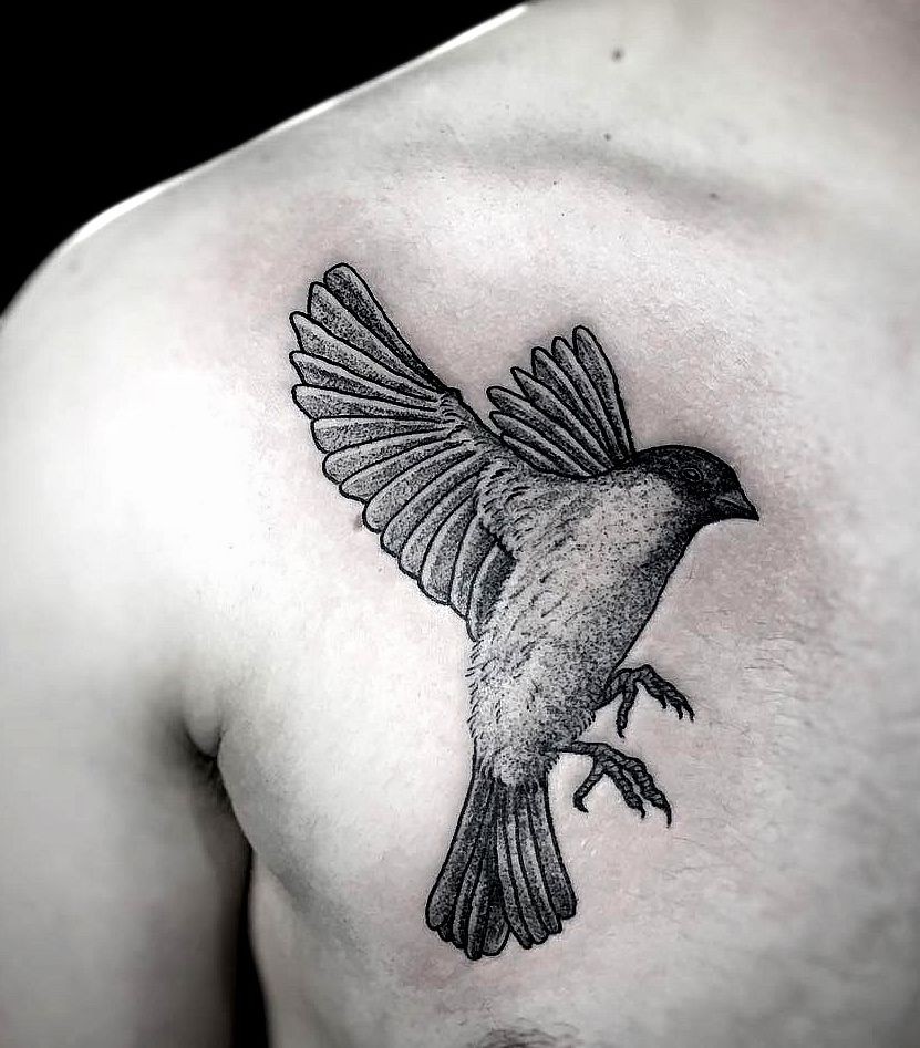 cute sparrow tattoo designs