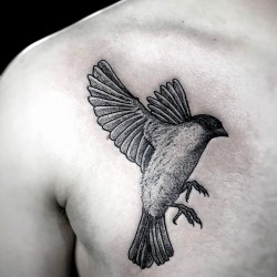 cute sparrow tattoo designs