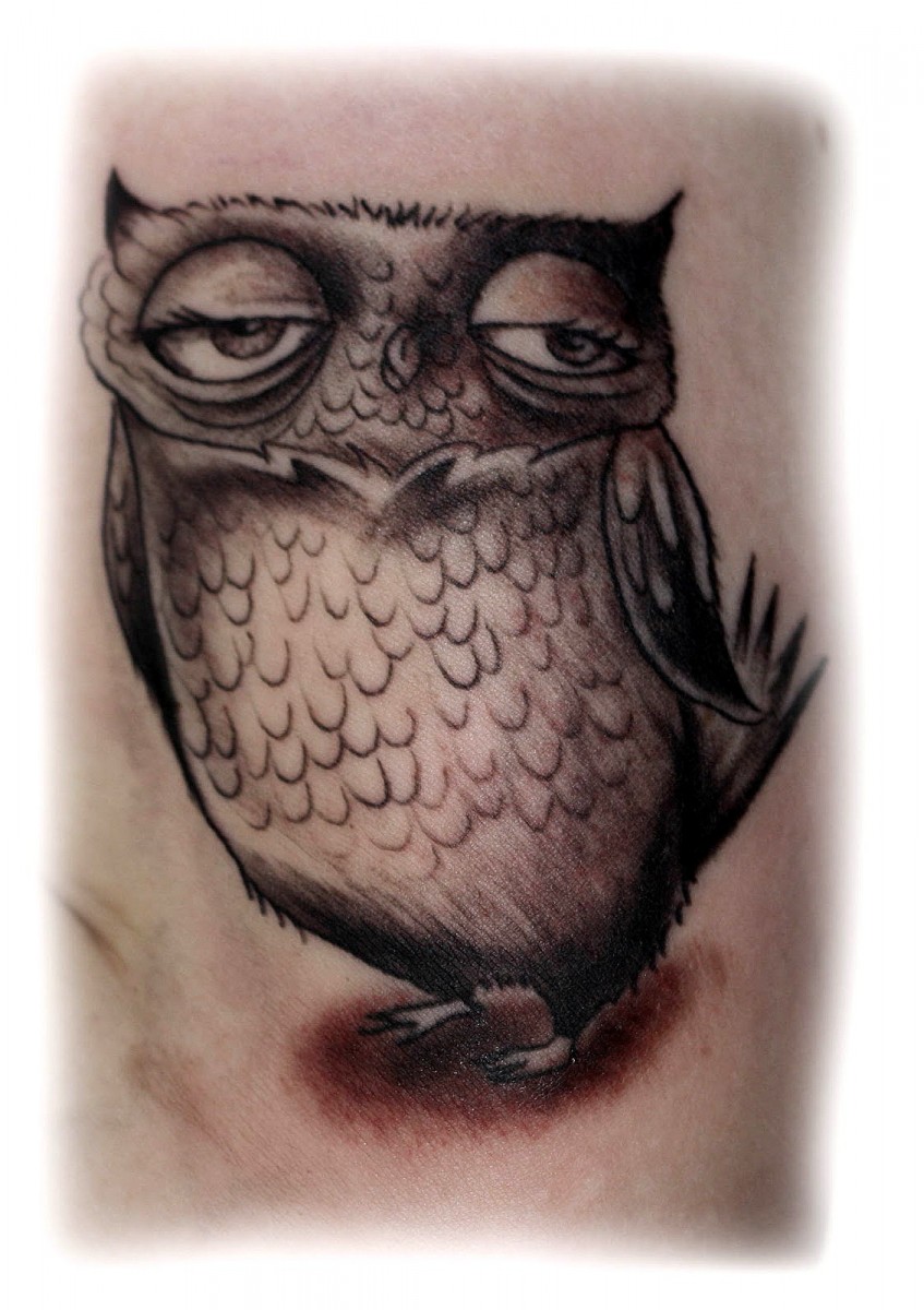little bird tattoo owl tattoo