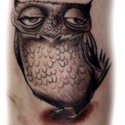 little bird tattoo owl tattoo