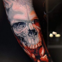 white skull,skull