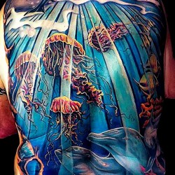 dolphin tattoo photo medusa