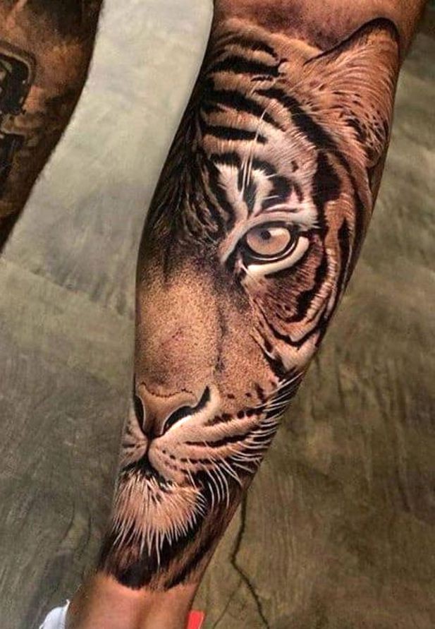 amazing lion tattooed on the calf