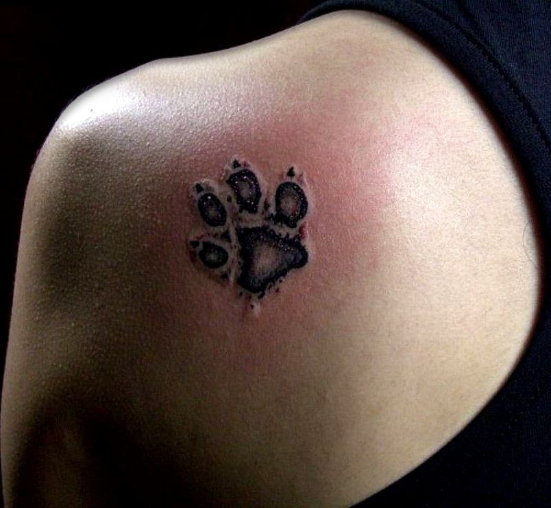 star and paw print tattoos