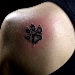 star and paw print tattoos
