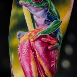 green frog on tulip