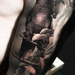 Black and gray Parrot tattoo