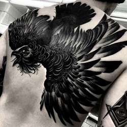 tattooed crows drawings for sketching and not onl